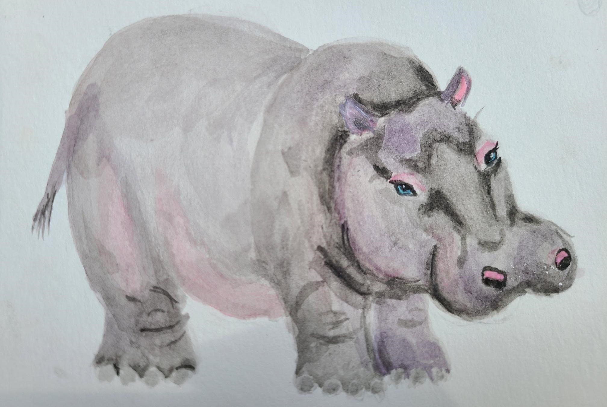 Watercolor painting of a hippo.